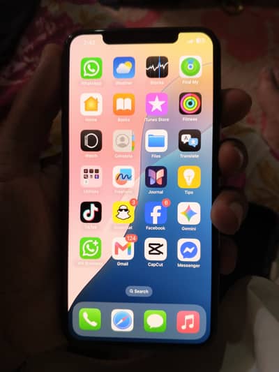 Apple iPhone XS Max