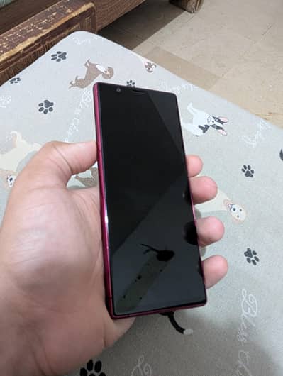 Sony Xperia 5 pta approved