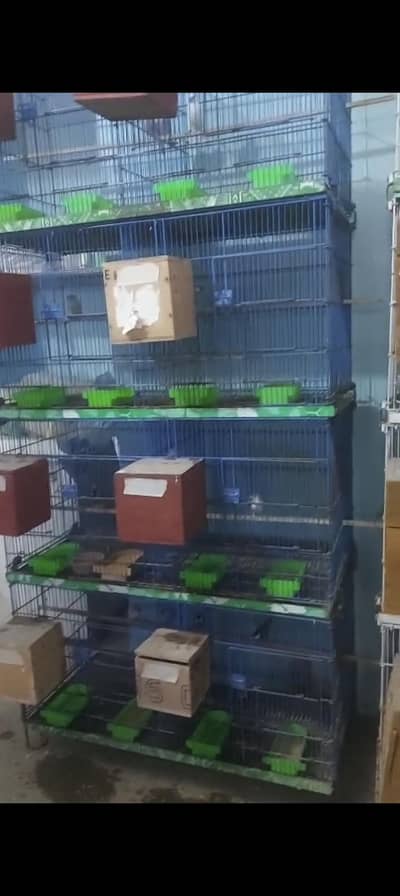 Master folding cage 8 portion 1.5x1.5x1.5 in goodd condition