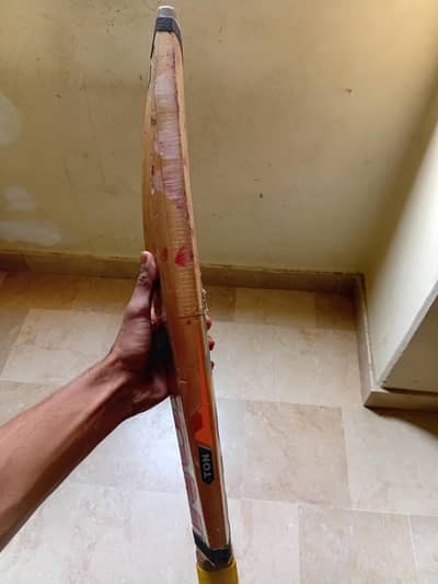 cricket bat