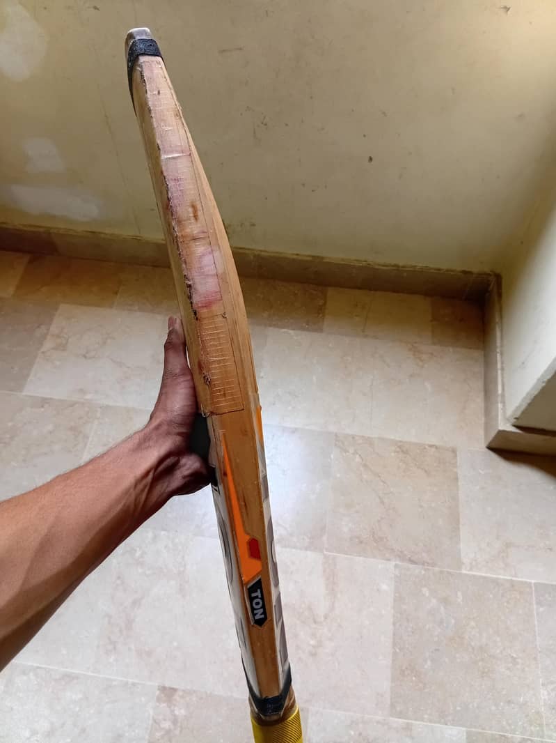 cricket bat 1