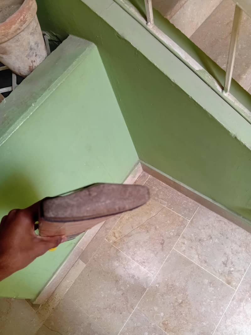 cricket bat 2