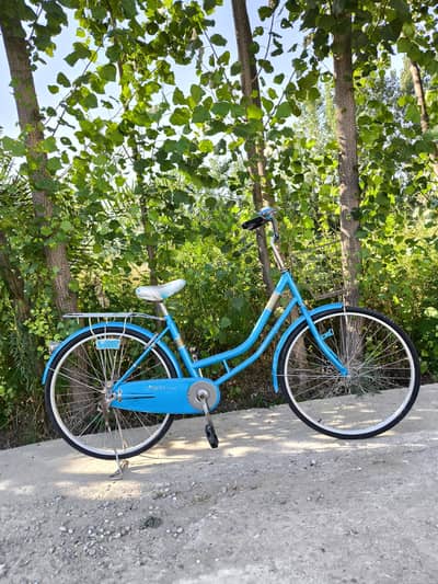Best royal Bicycle