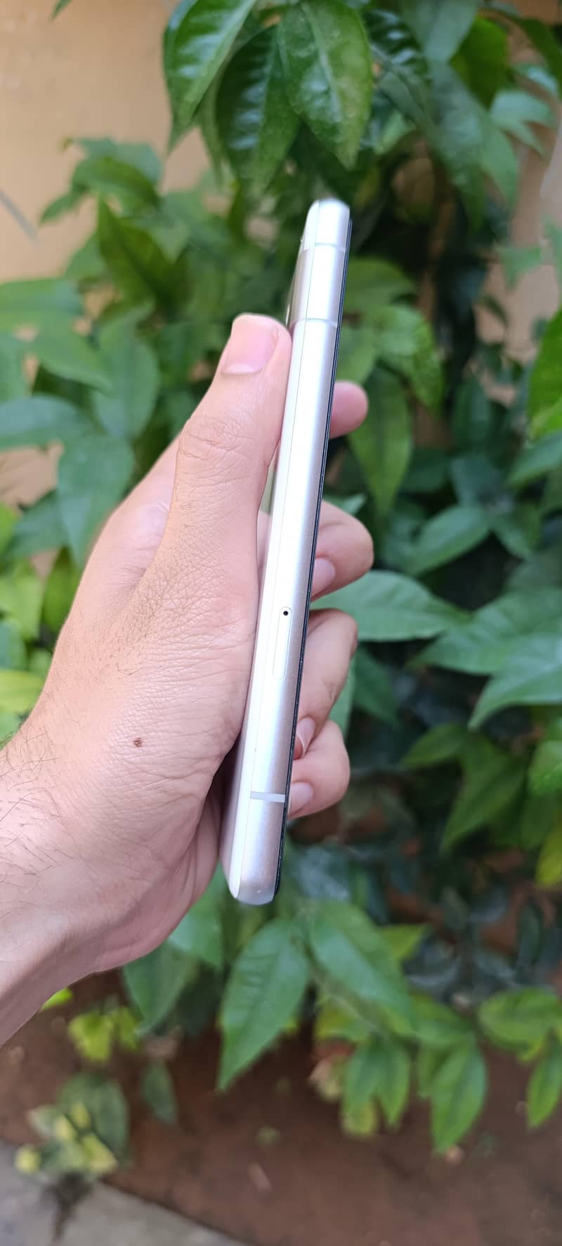 Google Pixel 7a 1