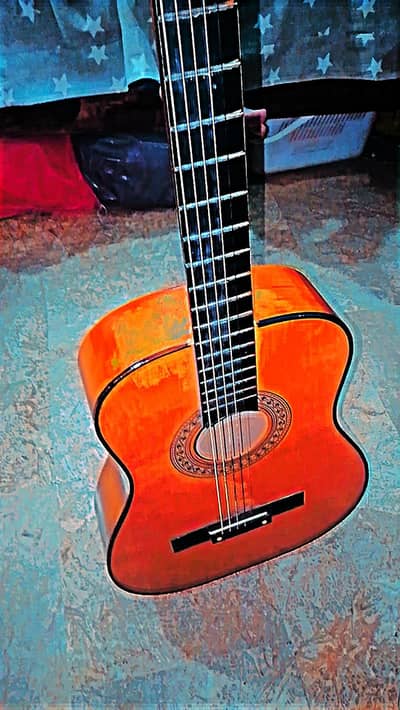 Guitar