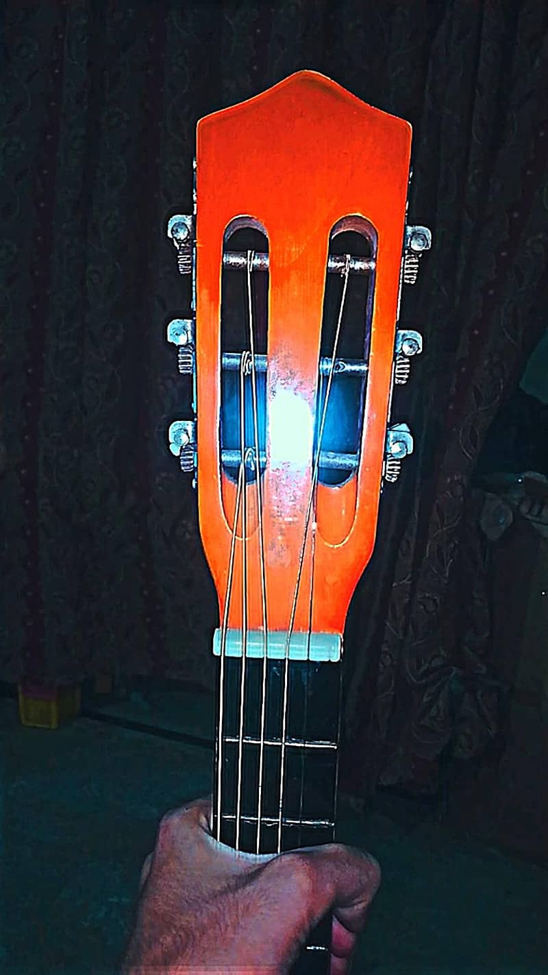 Guitar 5