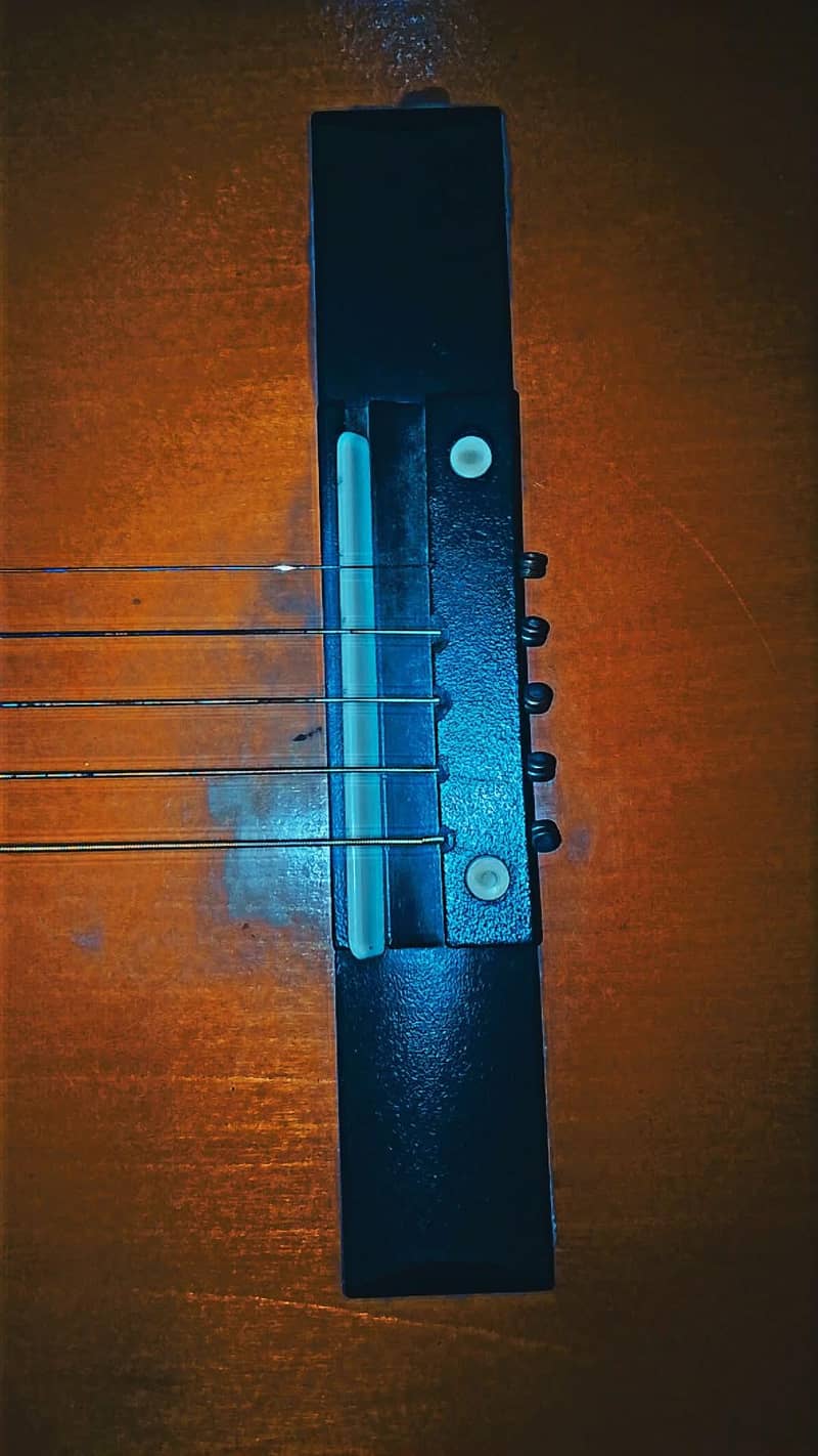 Guitar 6