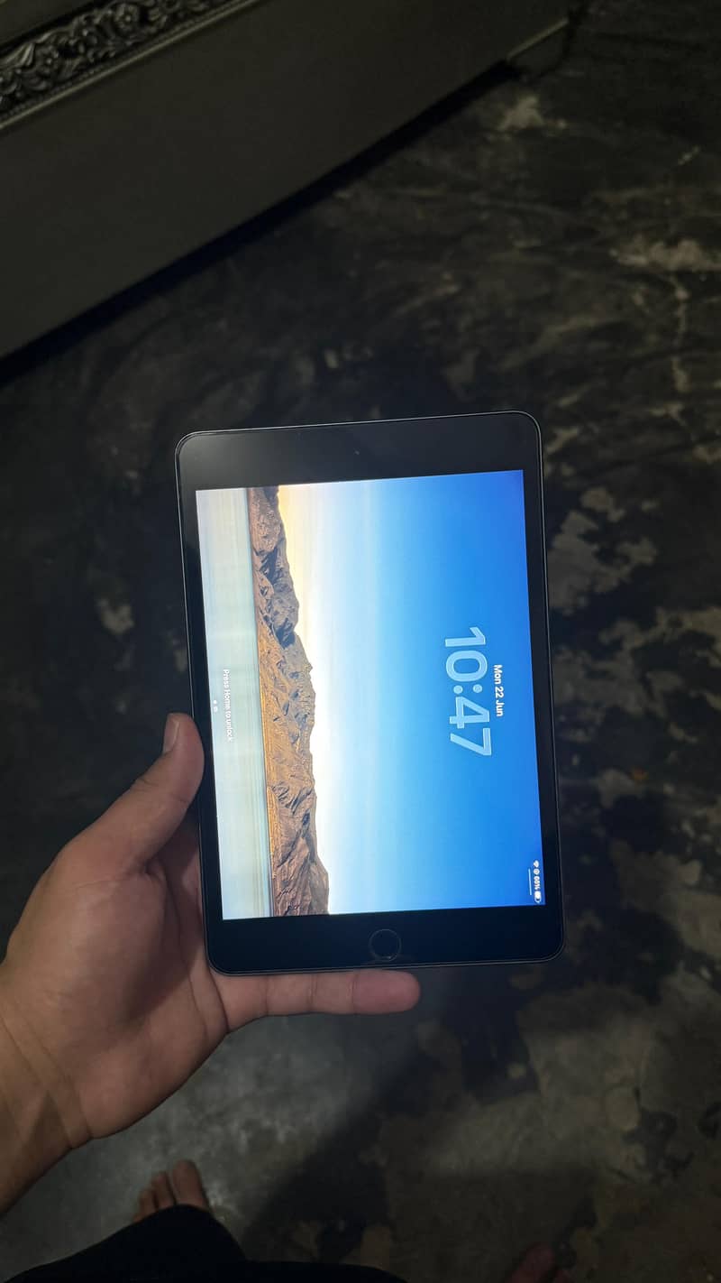 ipad mini 5 6
