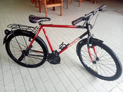 Phoenix real cycle for sale