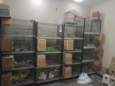cage galvanized 1.5*1.5*3