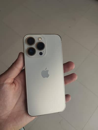 Apple iPhone 13 Pro (256GB)