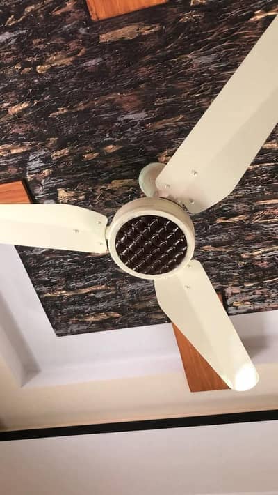 fans ceiling fans inverter fans ACDC fans for sale in wholesale prices