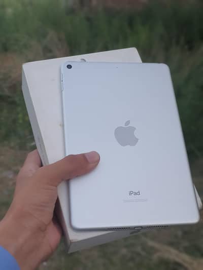 ipad mini 5
