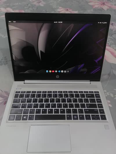 HP ProBook 445 G7, Ryzen 7 4700U with Radeon Graphics x8