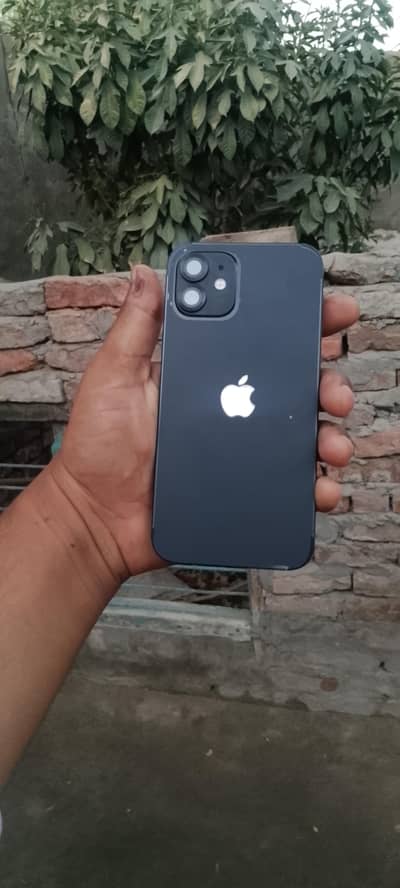 iPhone 12
