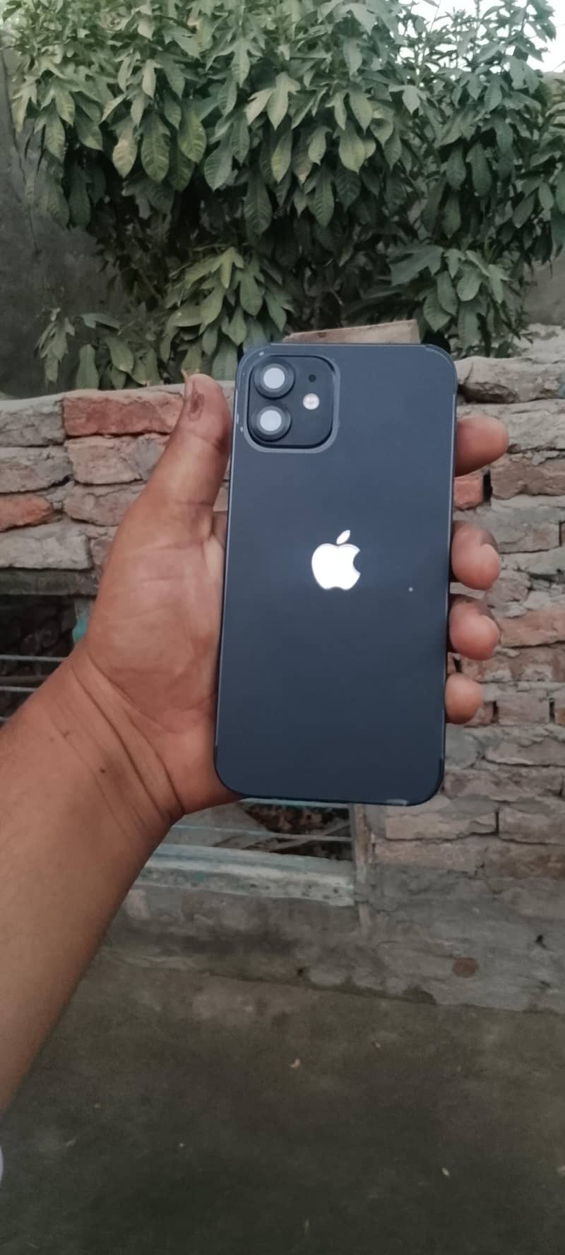 iPhone 12 0