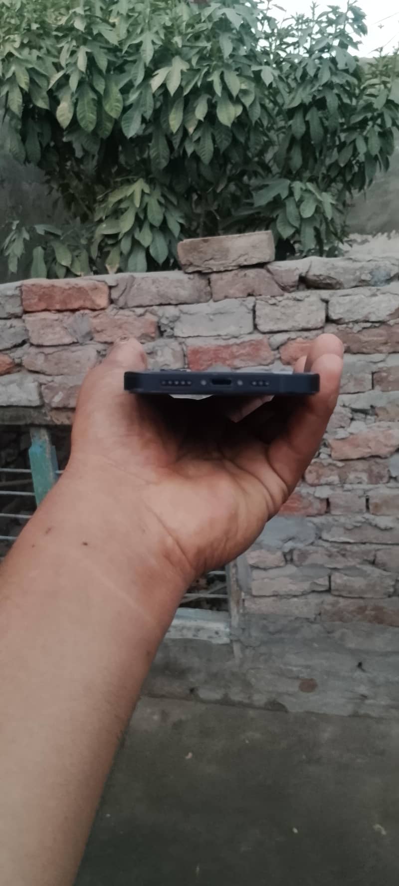 iPhone 12 4