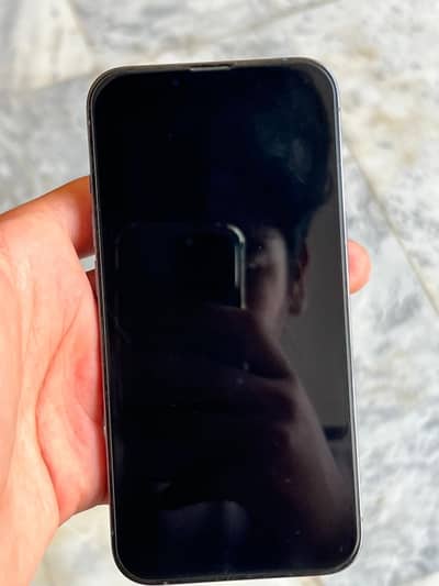 Apple iPhone 13 Pro