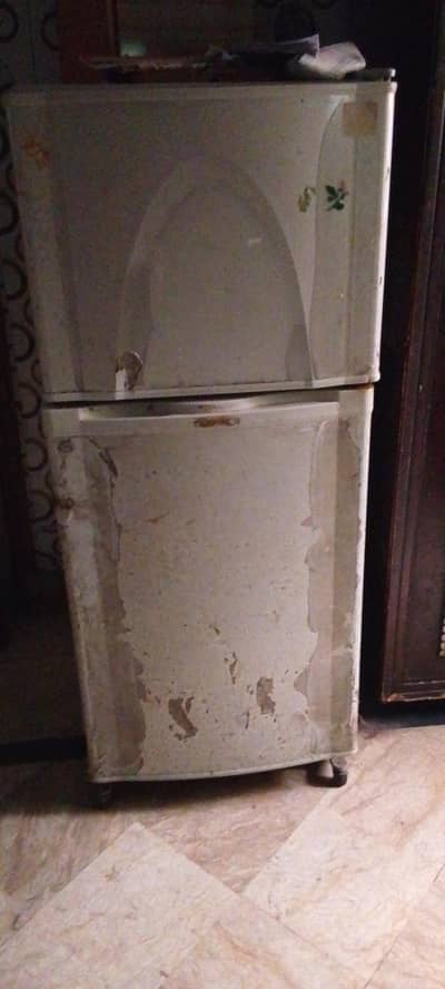 dalwlence medium size fridge