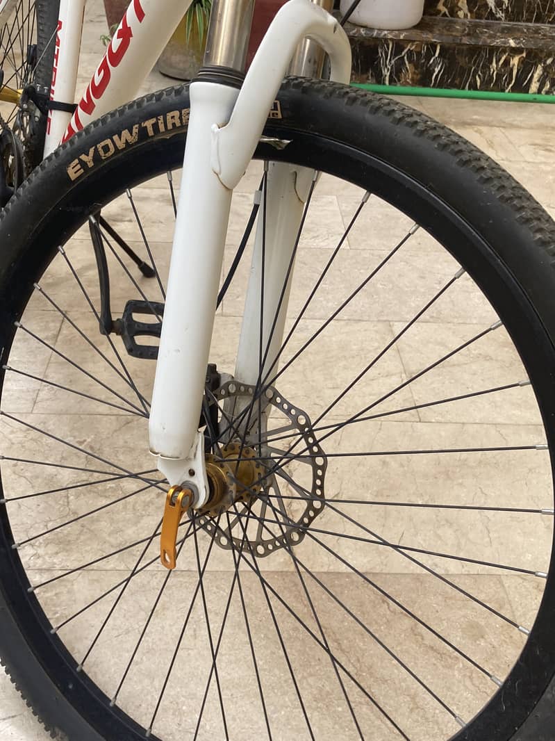 Bicycle 1