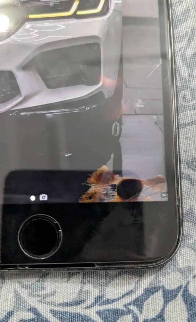 Apple iPhone 7 Plus 3