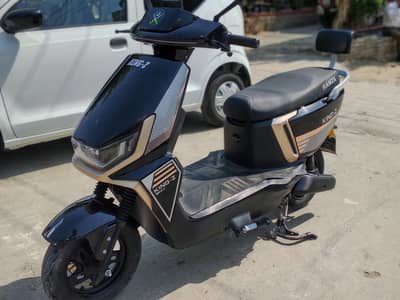 Electric Scotty Ramza King Z