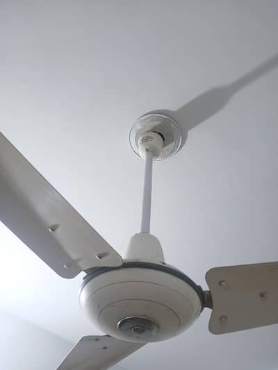Younis Ceiling Fan - AC