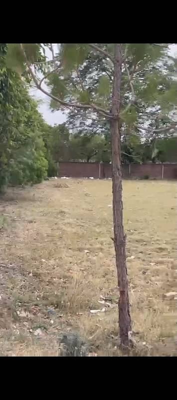3 Kanal 12 Marla Farm Land For Sale in Thethar Lahore Prime Investment Near DHA Phase 6