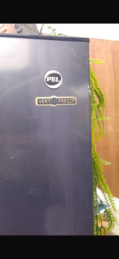 PEL vertical freezer