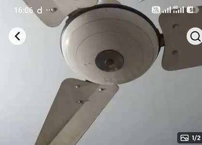 Ceiling Fans in Good Condition for Sale