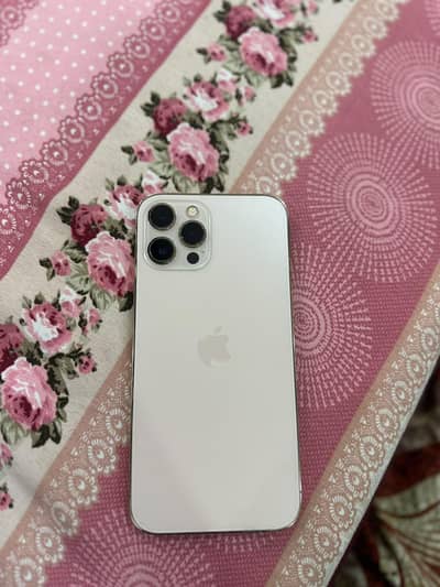 Apple iPhone 12 Pro Max