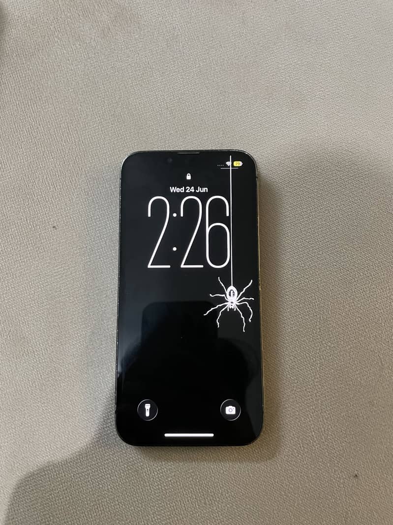 Apple iPhone 13 Pro 0
