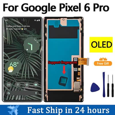 pixel 6 pro panel