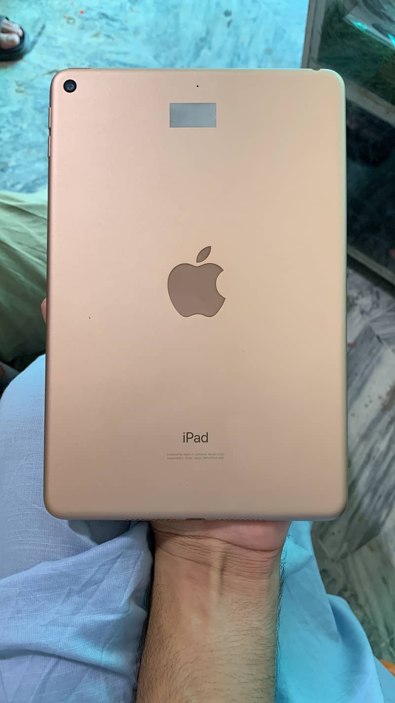 iPad mini 5 0