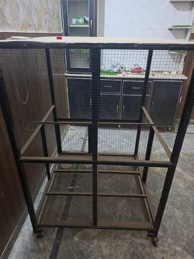 Iron Cage For Any Birds