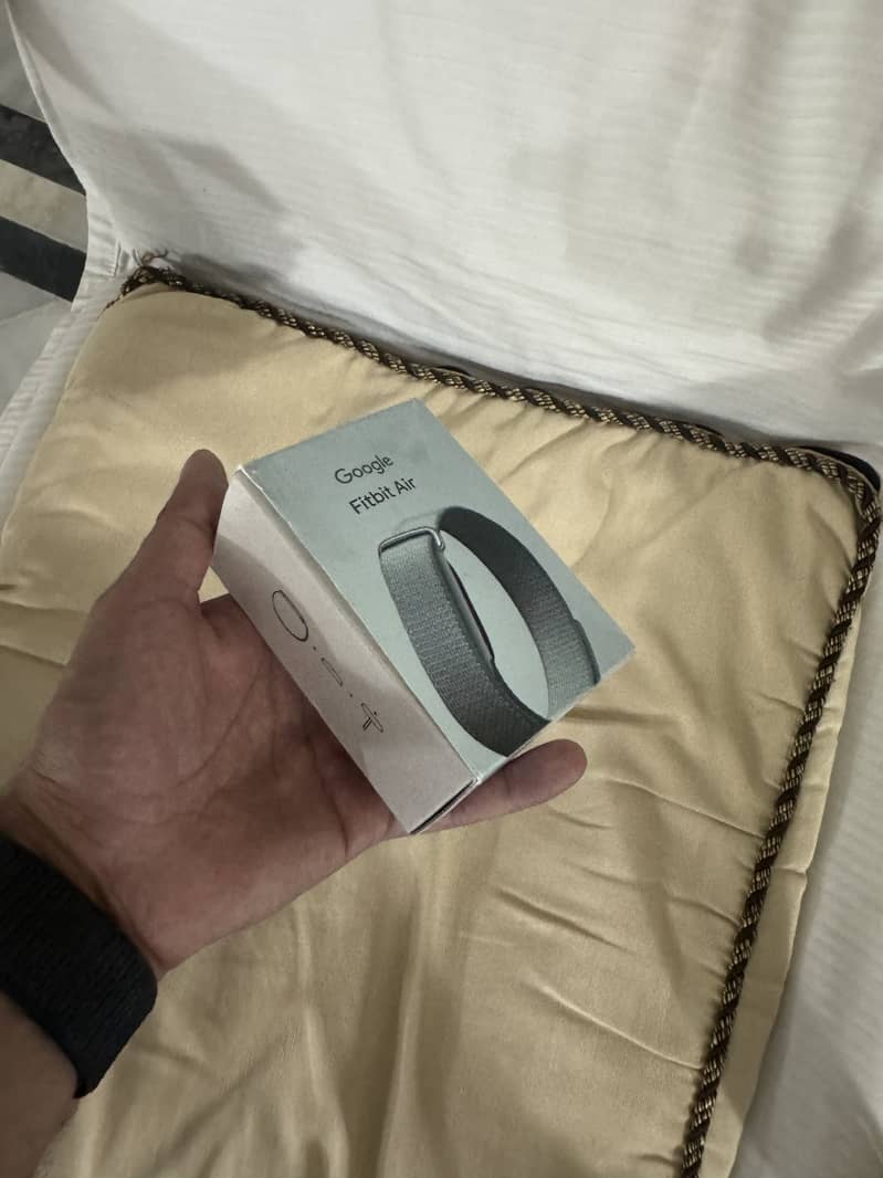 Google fitbit air 0