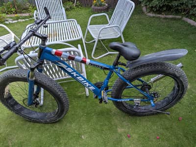 Mountain Bike