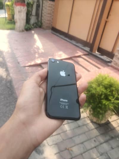 Apple iPhone 8 bypass