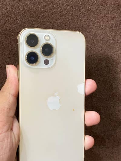 Apple iPhone 13 Pro Max