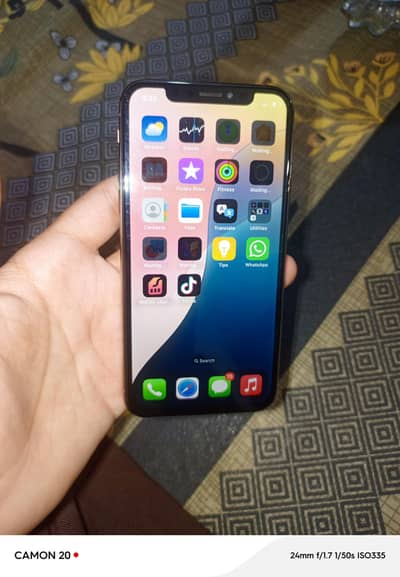 Apple iPhone X