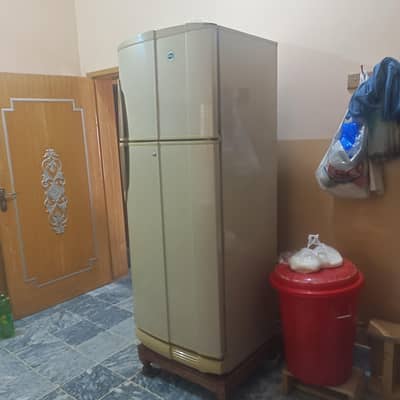 Jambo size Pel Fridge