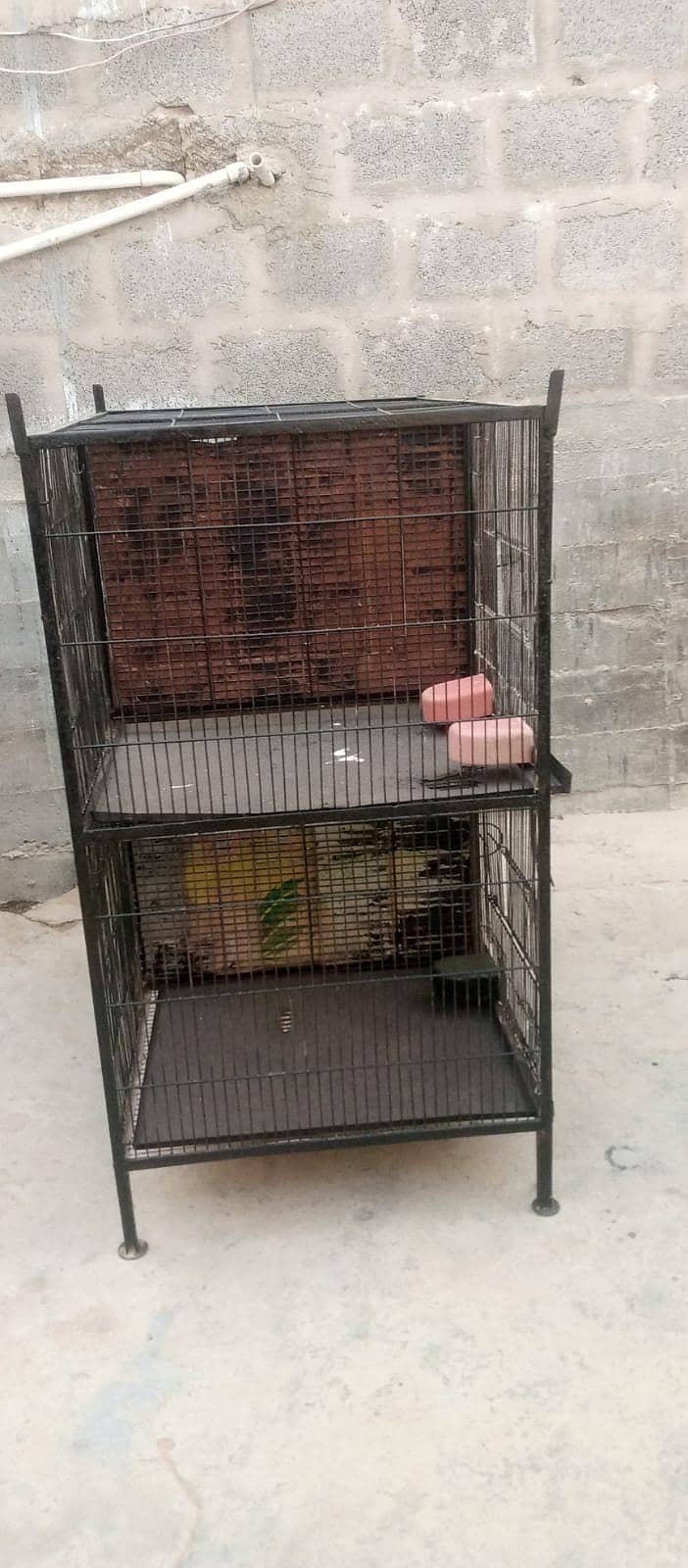 4 portion Cage 18×24 per portion 3