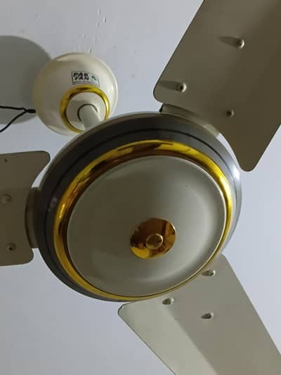 Pakfan Galaxy Gold