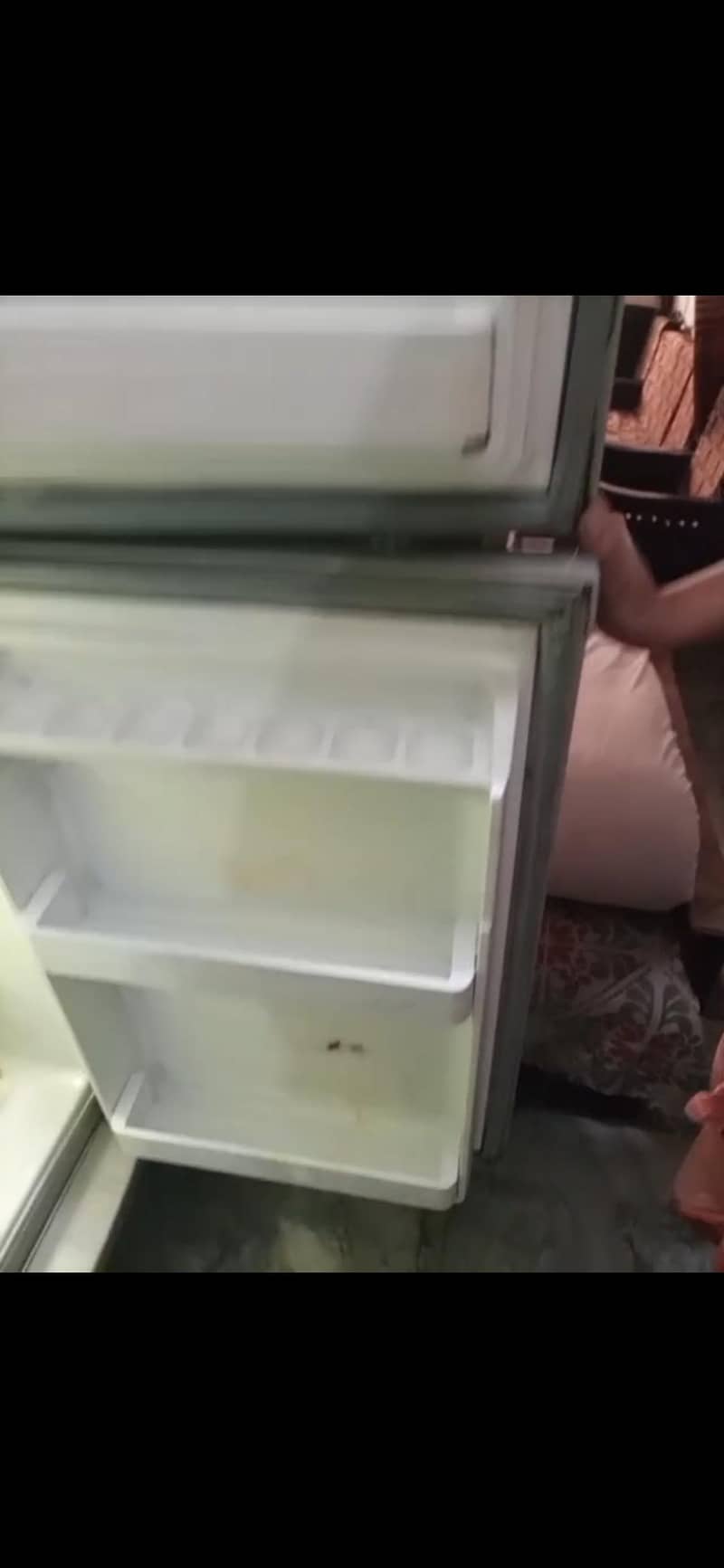 Fridge 5