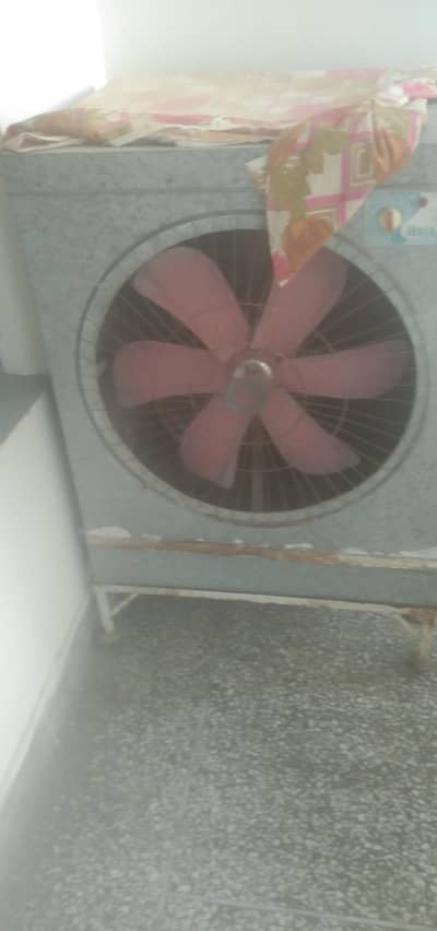 lahori air color for sell