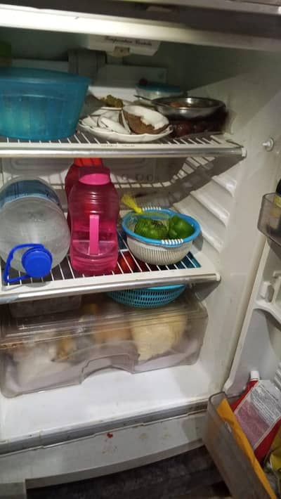 sale my freezer