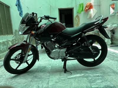 Yamaha YBR 125 2024 Fresh Condition Low Mileage Bike