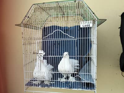 Cage for sale 8/9 candeshin