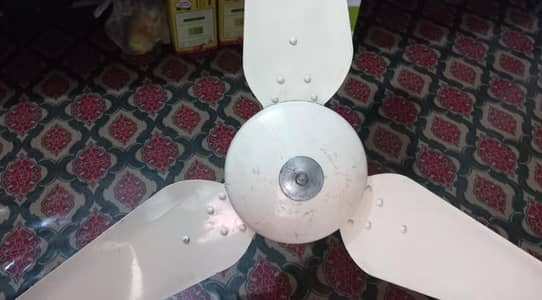 ceiling fan