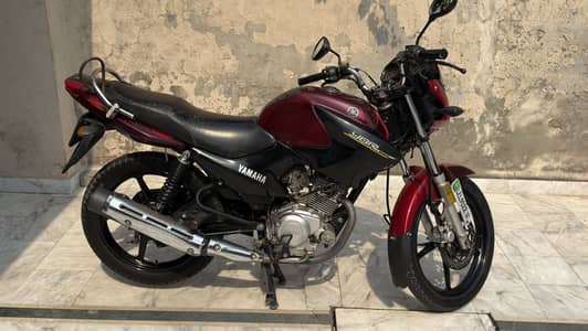 Yamaha YBR 125 2019 – Excellent Condition | Just Buy & Ride